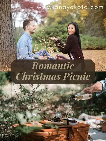 Romantic Christmas Picnic for holiday date ideas