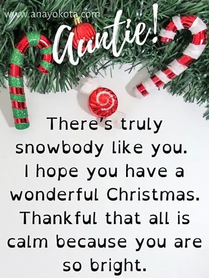 funny christmas card messages for auntie