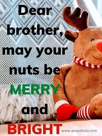 merry and bright brother funny note