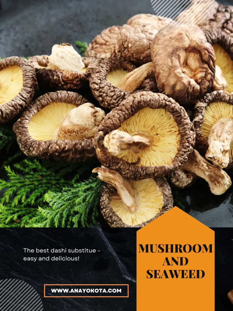 THE 5 BEST DASHI SUBSTITUTE EASY AND DELICIOUS Ana Yokota